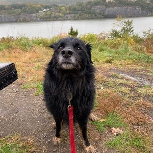 Meet your Posher, Belinda